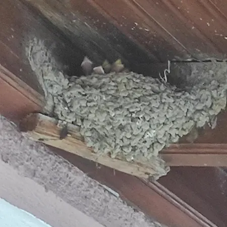 Niki's House 2 Agia Triada (Thessaloniki)